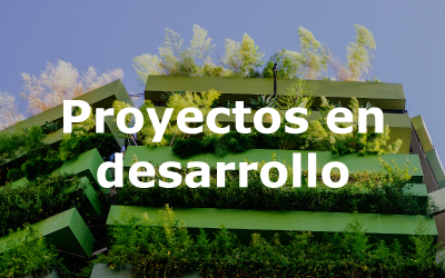 Proyectos en desarrollo